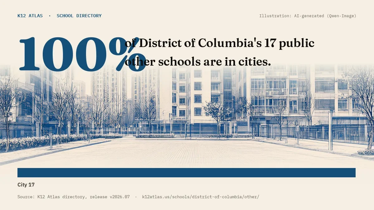 100% of District of Columbia's 17 public other schools are in cities (rural 0, town 0, suburb 0, city 17).