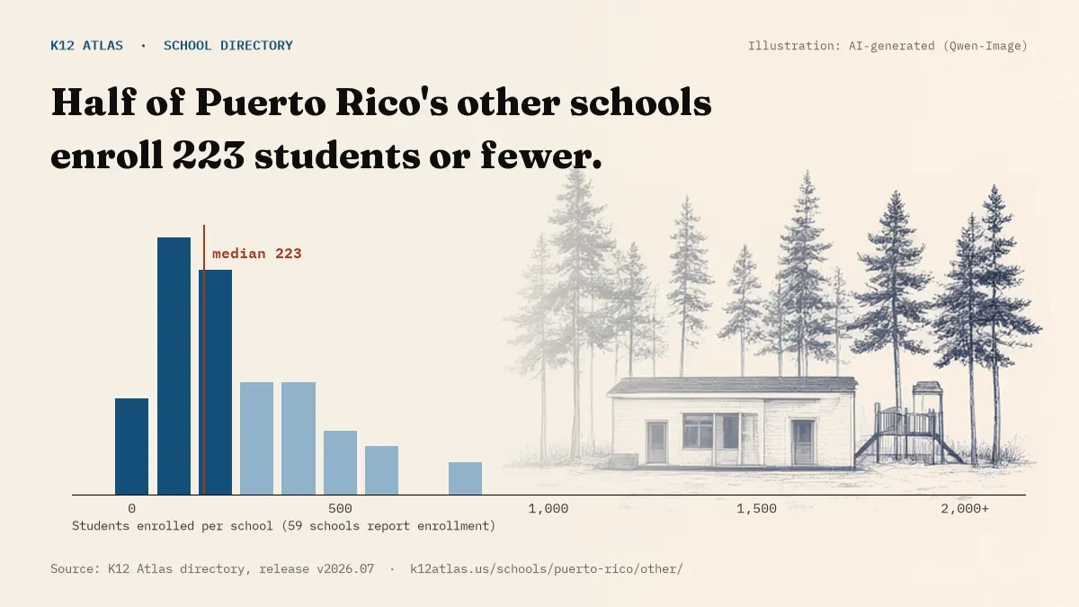 Histogram of enrollment: half of Puerto Rico's other schools enroll 223 students or fewer (59 schools report enrollment).