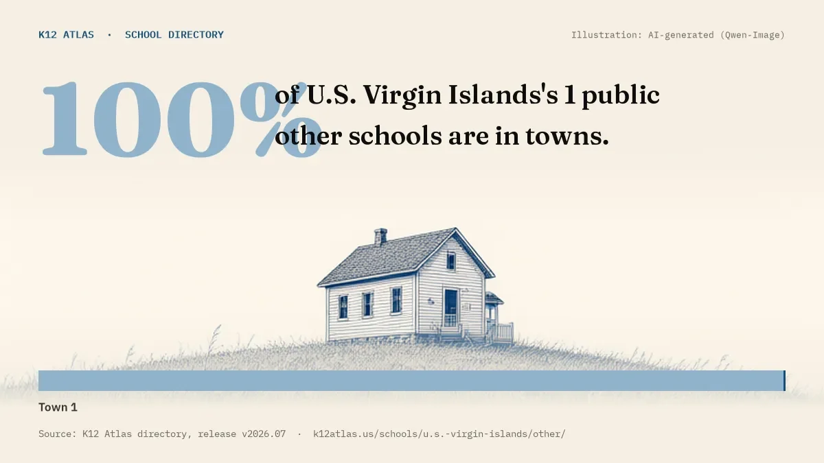100% of U.S. Virgin Islands's 1 public other schools are in towns (rural 0, town 1, suburb 0, city 0).